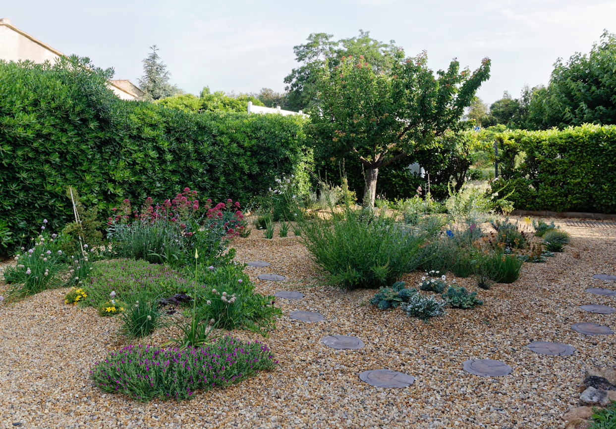 Évolution du jardin neuf mois après plantation