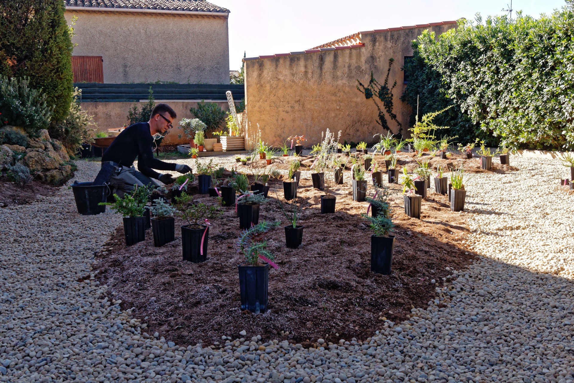 Implantation des végétaux avant plantation