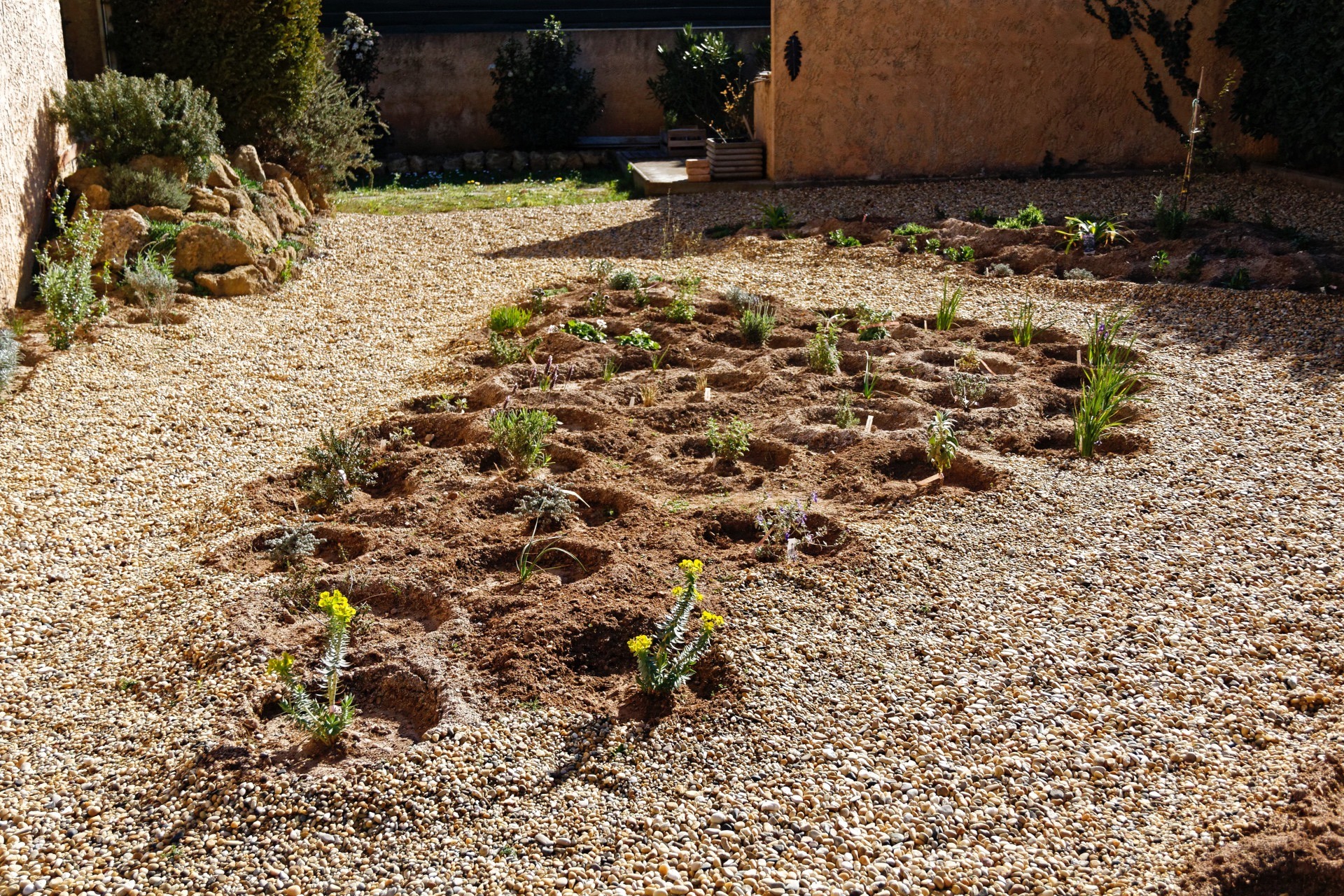 Plantation et structuration du massif