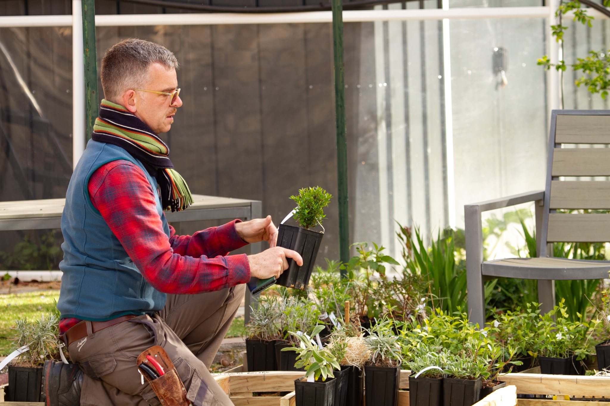 Choix de végétaux pour un jardin sec